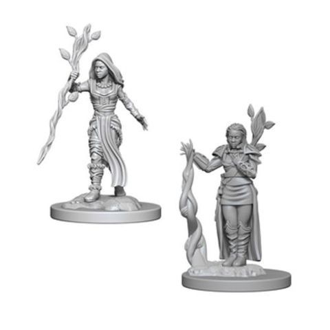 Nolzurs Marvelous Miniatures - Human Druid